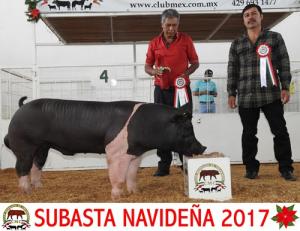 Subasta Navideña 2017.