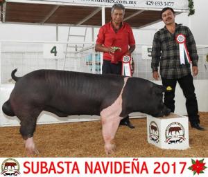 Subasta Navideña 2017.