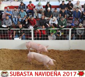 Subasta Navideña 2017.