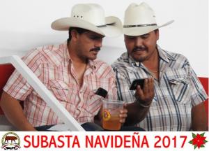 Subasta Navideña 2017.