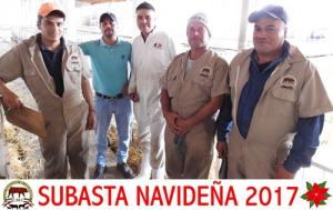 Subasta Navideña 2017.