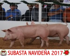 Subasta Navideña 2017.