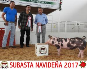 Subasta Navideña 2017.