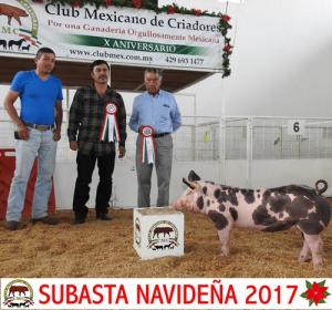 Subasta Navideña 2017.