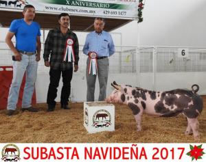 Subasta Navideña 2017.