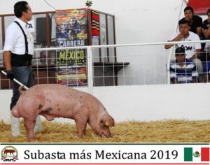 Subasta más Mexicana 2019.