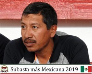 Subasta más Mexicana 2019.