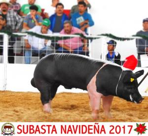 Subasta Navideña 2017.