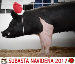 Subasta Navideña 2017.